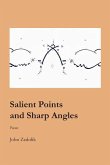 Salient Points and Sharp Angles