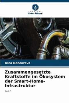 Zusammengesetzte Kraftstoffe im Ökosystem der Smart-Home-Infrastruktur - Bondareva, Irina