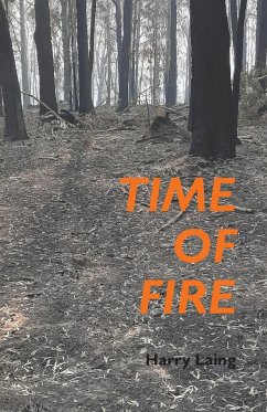 Time of Fire - Laing, Harry