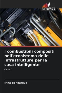 I combustibili compositi nell'ecosistema delle infrastrutture per la casa intelligente - Bondareva, Irina