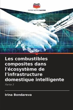 Les combustibles composites dans l'écosystème de l'infrastructure domestique intelligente - Bondareva, Irina