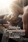 Erotische Kurzgeschichten für Erwachsene (eBook, ePUB)