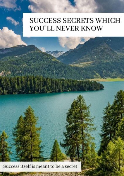 Success Secrets Which You'll Never Know (eBook, ePUB)