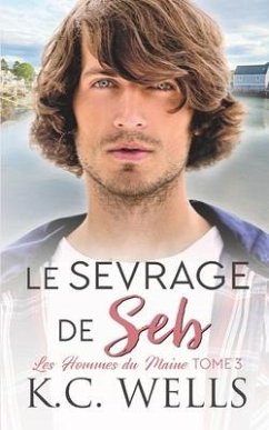 Le sevrage de Seb - Wells, K. C.