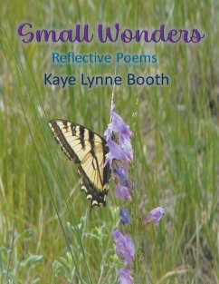 Small Wonders - Booth, Kaye Lynne