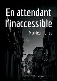 En attendant l'inaccessible - Mathieu Pierret