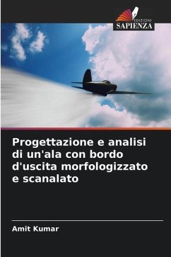 Progettazione e analisi di un'ala con bordo d'uscita morfologizzato e scanalato - Kumar, Amit