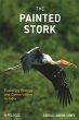 Painted Stork - Bild 1