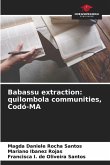 Babassu extraction: quilombola communities, Codó-MA