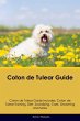 Coton de Tulear Guide Coton de Tulear... - Bild 1