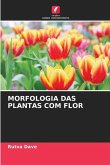 MORFOLOGIA DAS PLANTAS COM FLOR