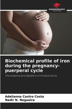 Biochemical profile of iron during the pregnancy-puerperal cycle - Castro Costa, Adelianna;N. Nogueira, Nadir