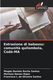 Estrazione di babassu: comunità quilombola, Codó-MA