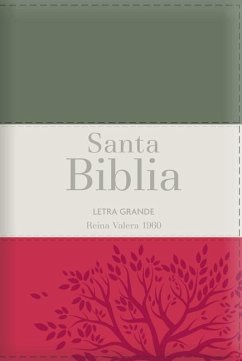 Biblia Rvr60 Letra Grande - Tamaño Manual / Tricolor: Gris/Crema/Rojo Con Indice Y Cierre (Bible Rvr60 Lp/Pocket Size - Tricolor: Grey/Cream/Red with Index and Closure) - Reina Valera 1960