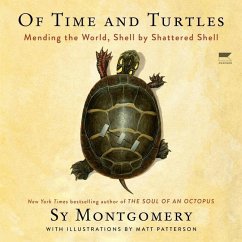 Of Time and Turtles - Montgomery, Sy