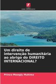 Um direito de intervenção humanitária ao abrigo do DIREITO INTERNACIONAL?