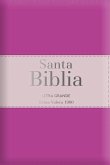 Biblia Rvr60 Letra Grande - Tamaño Manual / Tricolor: Fucsia/Palo Rosa/Fucsia Con Índice Y Cierre (Bible Rvr60 Lp/Pocket Size - Tricolor: Fuscia/Rosewood/Fuscia with Index and Closure)