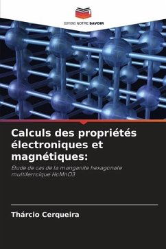 Calculs des propriétés électroniques et magnétiques: - Cerqueira, Thárcio