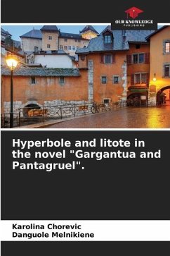 Hyperbole and litote in the novel 