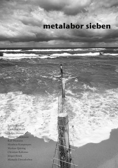 metalabor sieben (eBook, ePUB)