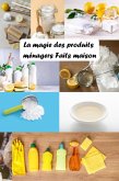 La Magie des Produits Ménagers Faits Maison (eBook, ePUB)