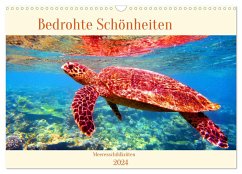 Meeresschildkröten - Bedrohte Schönheiten (Wandkalender 2024 DIN A3 quer), CALVENDO Monatskalender