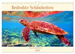 Meeresschildkröten - Bedrohte Schönheiten (Wandkalender 2024 DIN A4 quer), CALVENDO Monatskalender