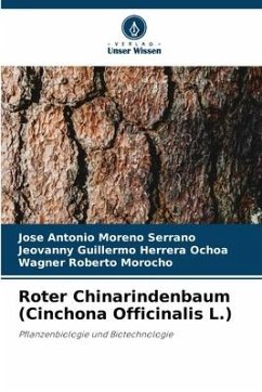 Roter Chinarindenbaum (Cinchona Officinalis L.) - Moreno Serrano, Jose Antonio;Herrera Ochoa, Jeovanny Guillermo;Morocho, Wagner Roberto