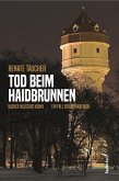 Tod beim Haidbrunnen: Wiener Neustadt Krimi (eBook, ePUB)