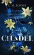 Citadel (eBook, ePUB) - Bild 1