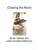 Chasing the Moon