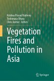Vegetation Fires and Pollution in Asia (eBook, PDF)