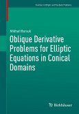 Oblique Derivative Problems for Elliptic Equations in Conical Domains (eBook, PDF)