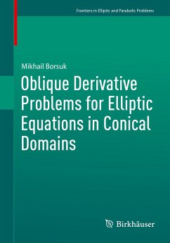 Oblique Derivative Problems for Elliptic Equations in Conical Domains (eBook, PDF) - Borsuk, Mikhail