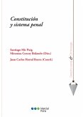 Constitución y sistema penal (eBook, PDF)