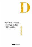Derechos sociales, constitucionales y democracia (eBook, PDF)