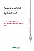 La tutela multinivel del principio de legalidad penal (eBook, PDF)