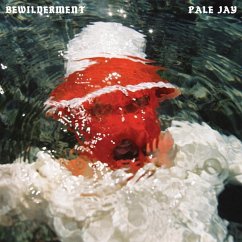 Bewilderment - Jay,Pale