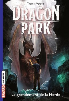 Cover Dragon Park, Tome 04 (eBook, ePUB)