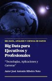 Big Data para Ejecutivos y Profesionales (eBook, ePUB)