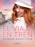 El viaje en tren - Una serie erótica (eBook, ePUB)