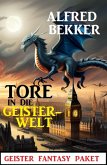 Tore in die Geisterwelt: Geister Fantasy Paket (eBook, ePUB)