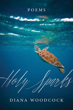 Holy Sparks (eBook, ePUB) - Woodcock, Diana