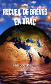 Recueil de brèves en vrac (eBook, ePUB)