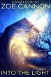 Into the Light (eBook, ePUB) - Bild 1