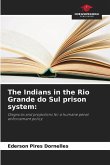 The Indians in the Rio Grande do Sul prison system: