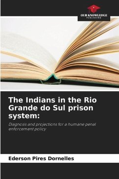The Indians in the Rio Grande do Sul prison system: - Pires Dornelles, Ederson
