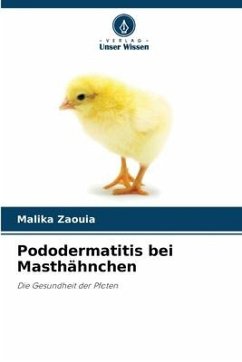 Pododermatitis bei Masthähnchen - Zaouia, Malika