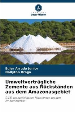 Umweltverträgliche Zemente aus Rückständen aus dem Amazonasgebiet - Arruda Junior, Euler;Braga, Nállyton