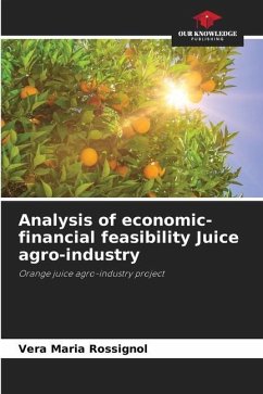 Analysis of economic-financial feasibility Juice agro-industry - Rossignol, Vera Maria